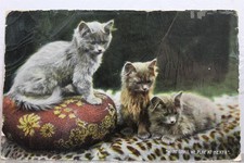 post cat for sale  Wilmington