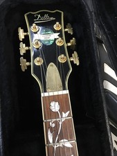 dillion guitars for sale dillion guitars for sale Logan