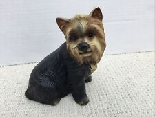 Das yorkshire terrier for sale  DOVER