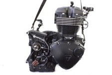 Triumph speed twin usato  Rovigo