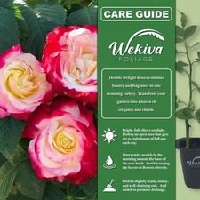 plants bushes for sale  USA