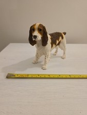Standing english springer for sale  LEICESTER