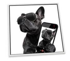 French bulldog selfie for sale  UK
