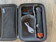Gopro hero10 black for sale  Reno