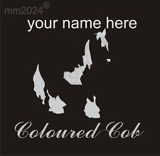 Equestrian coloured cob for sale  KIDDERMINSTER