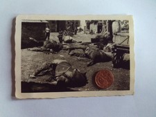 Foto wohl deutsche gebraucht kaufen  Welver