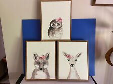 Set baby animals for sale  Sturgeon