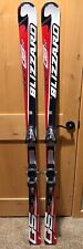 Blizzard gsr 174cm for sale  Savage