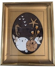 Sand dollar nautical for sale  Phoenix