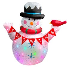 Led schneemann schneefall gebraucht kaufen  Euskirchen