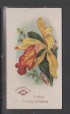 Cigarette cards murai for sale  MIDHURST