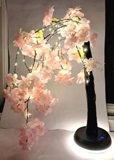 Cherry blossom tree for sale  LONDON