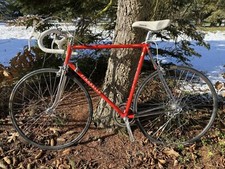Rennrad pinarello montello gebraucht kaufen  Görlitz
