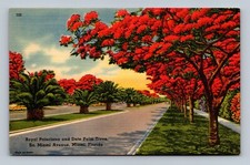 Royal Poinciana and Date Palm Trees, Miami FL, linho, usado comprar usado  Enviando para Brazil