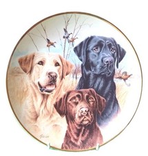 Dog plate. collectors for sale  TENTERDEN