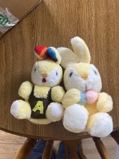 Two lovely yellow for sale  OMAGH