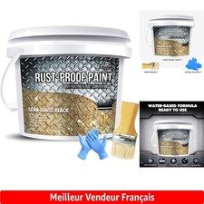 Peinture anti rouille d'occasion  Matha