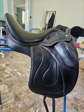 Wow pinnacle dressage usato  Piossasco
