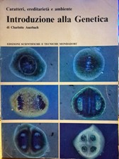 Libro introduzione alla usato  Civitanova Marche