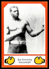 1987 brown boxing for sale  Savage