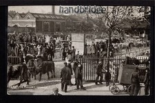 Ipswich cattle market for sale  DEESIDE