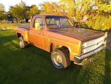 1981 chevrolet pickup for sale  Dayton