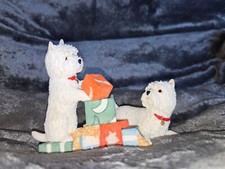 Whwt pups playing for sale  MANCHESTER