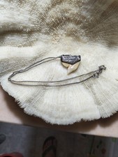 Collana ciondolo dente usato  Casapesenna