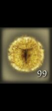 Elden ring rune usato  Italia