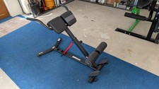 Sunny hyperextension roman for sale  BELFAST