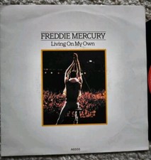Freddie mercury living gebraucht kaufen  Mendig