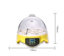 Automatic digital egg for sale  ST. NEOTS