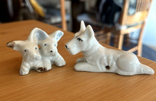 White scotty mum for sale  Lovell