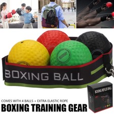 Boxen training ball gebraucht kaufen  Aspisheim, Grolsheim