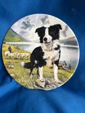 border collie plates for sale border collie plates for sale RUGELEY