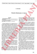Lombardia mantova catalani usato  Italia