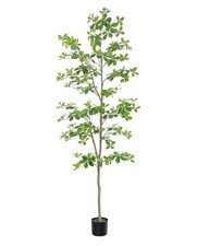 Faux black olive for sale  Medina