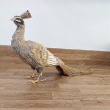 Rare unusual straw for sale  GLOUCESTER