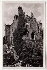 Schwieberdingen ruine nippenbu gebraucht kaufen  Deutschland