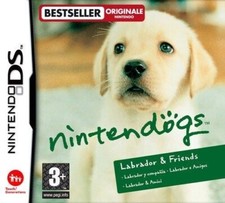 Nintendogs labrador friends usato  Grottammare