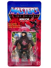 Ninjor masters the usato  Zanica