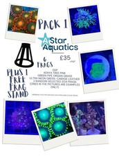 Starter soft coral for sale  CREWE