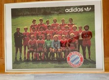 Bayern münchen mannschaftspos gebraucht kaufen  Hürth