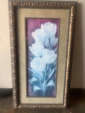 Picture white tulips for sale  College Grove