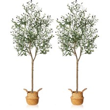 Artificial olive tree for sale  Ashford