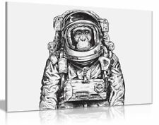 space monkey for sale space monkey for sale LONDON