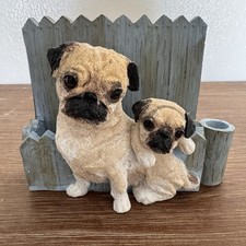 Fawn black pug for sale  New Port Richey