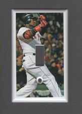 David ortiz light for sale  Chesapeake