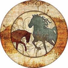 Unbridled horse spare for sale  Erlanger