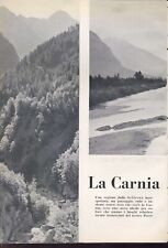 Carnia udine 1960 usato  Trento